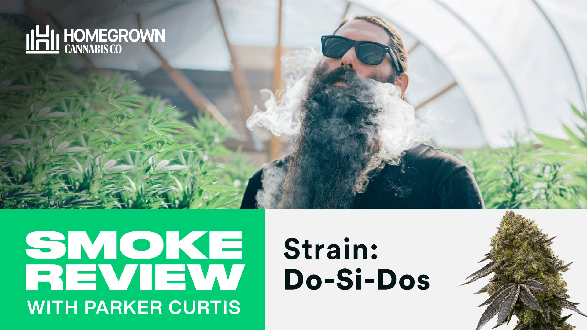 Do-si-dos Feminized Cannabis Seeds