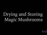 Drying and storing magic mushrooms