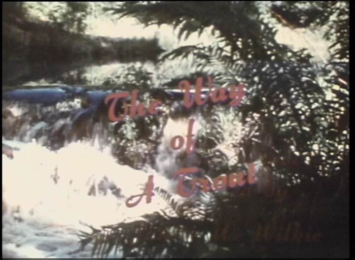 The Way of a Trout | Videos & Movies on Vimeo