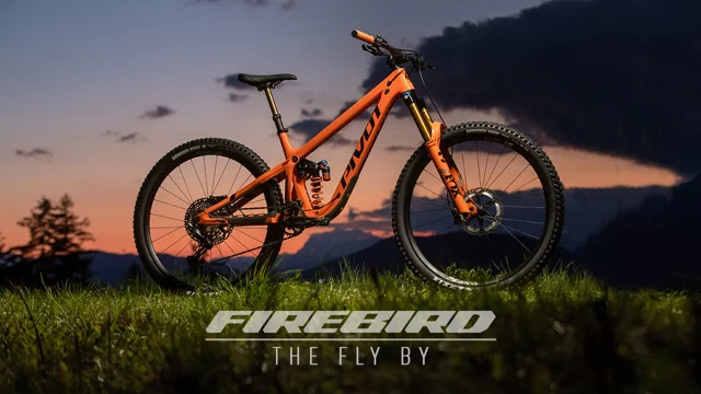 Firebird store mountain bike