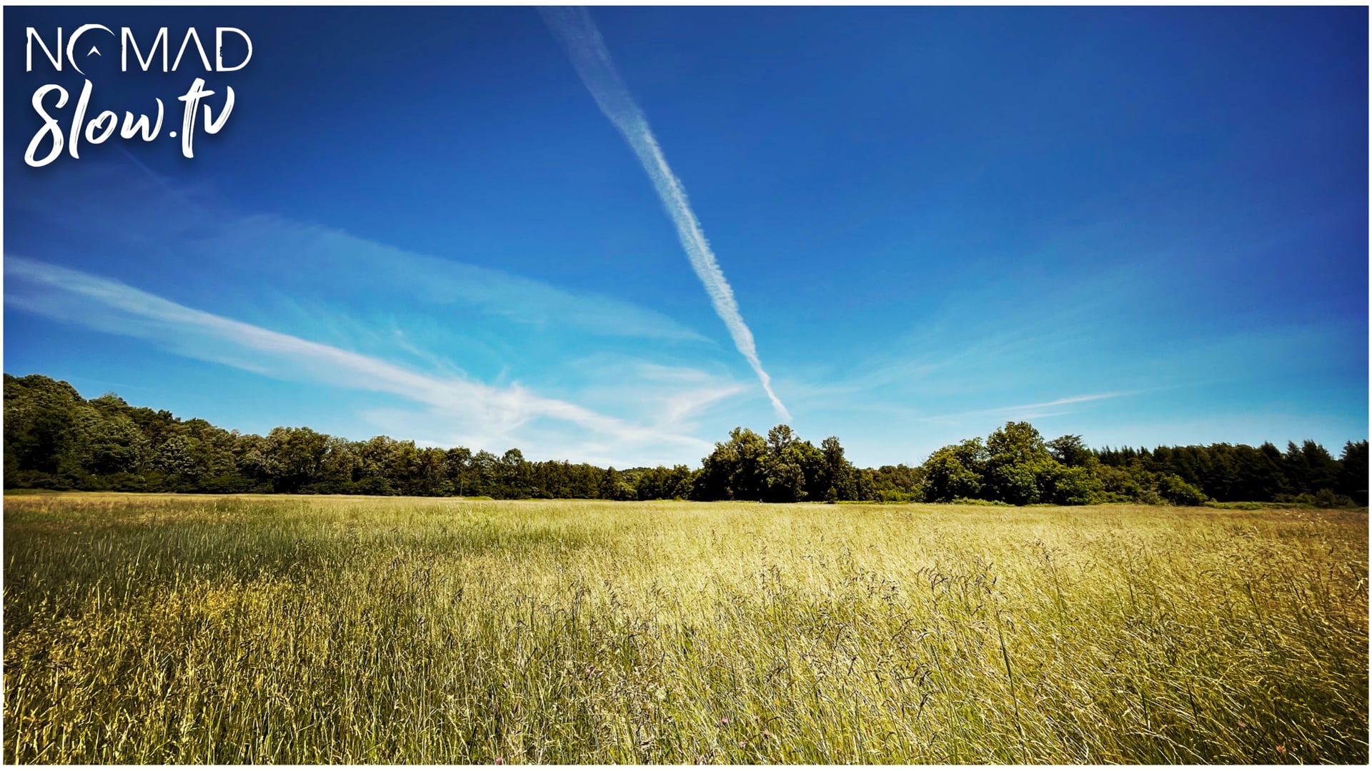 Slow Field Summer Day