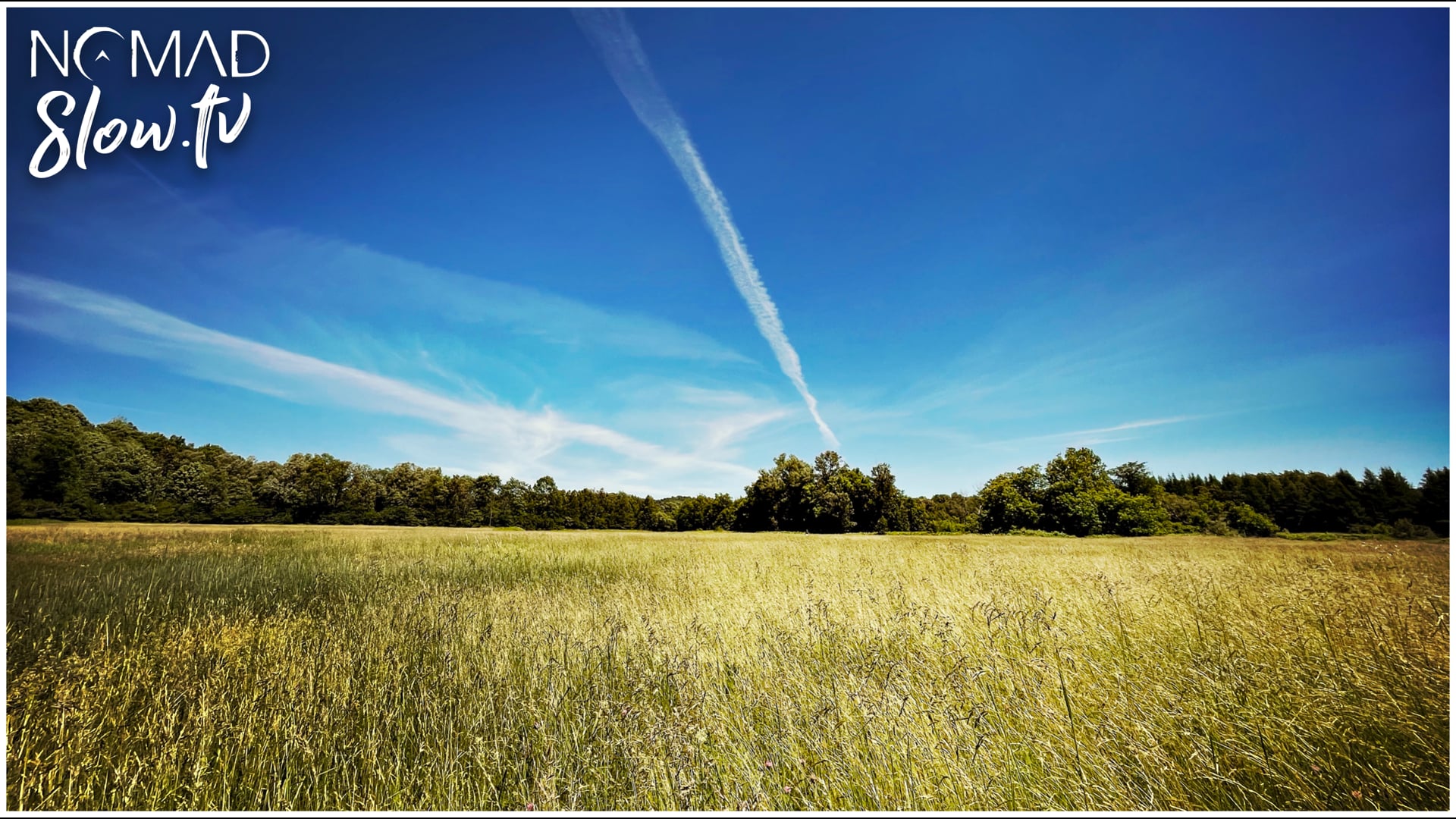 Slow Field Summer Day
