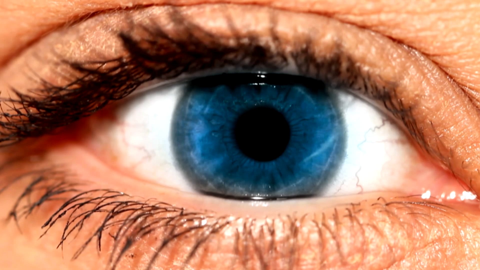 HEART BEAT THE POWER OF MUSIC