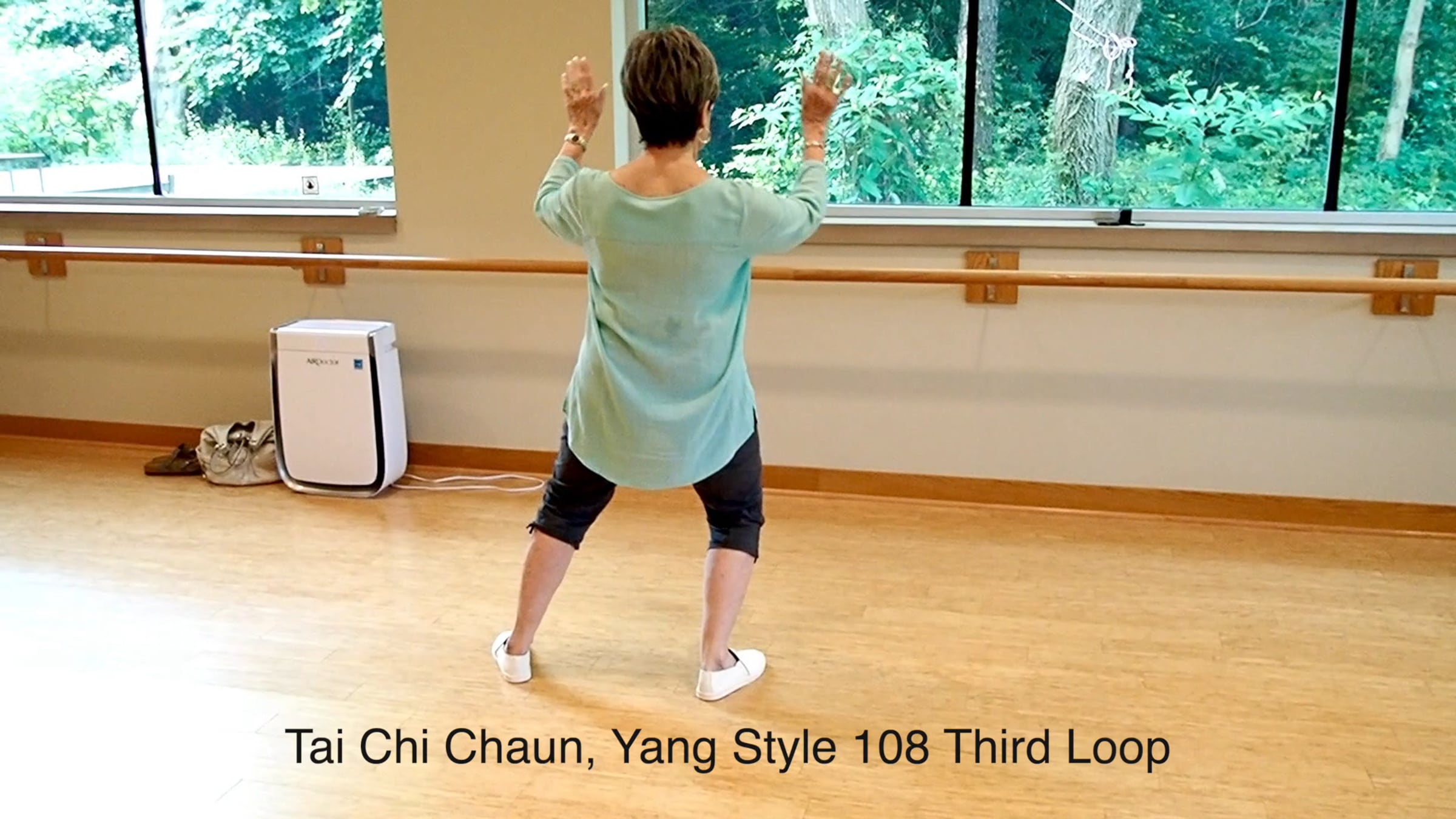 Tai Chi Chaun, Yang Style Third Loop | Videos & Movies on Vimeo