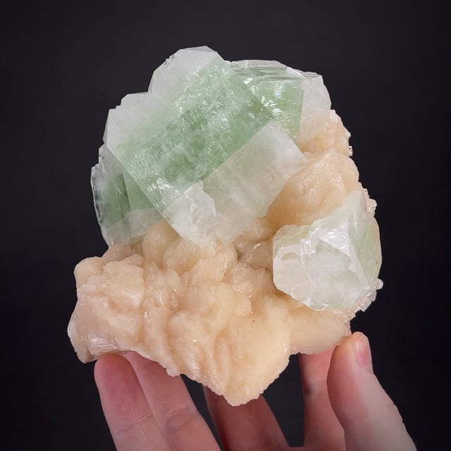 Bi-colored Fluorapophyllite and Stilbite