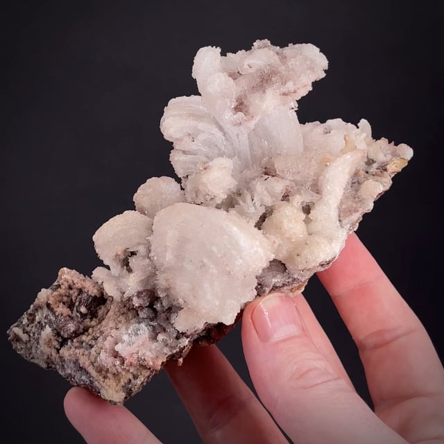 "Ram's horn" Gypsum (RARE CA!) Bob Reynolds Coll.)