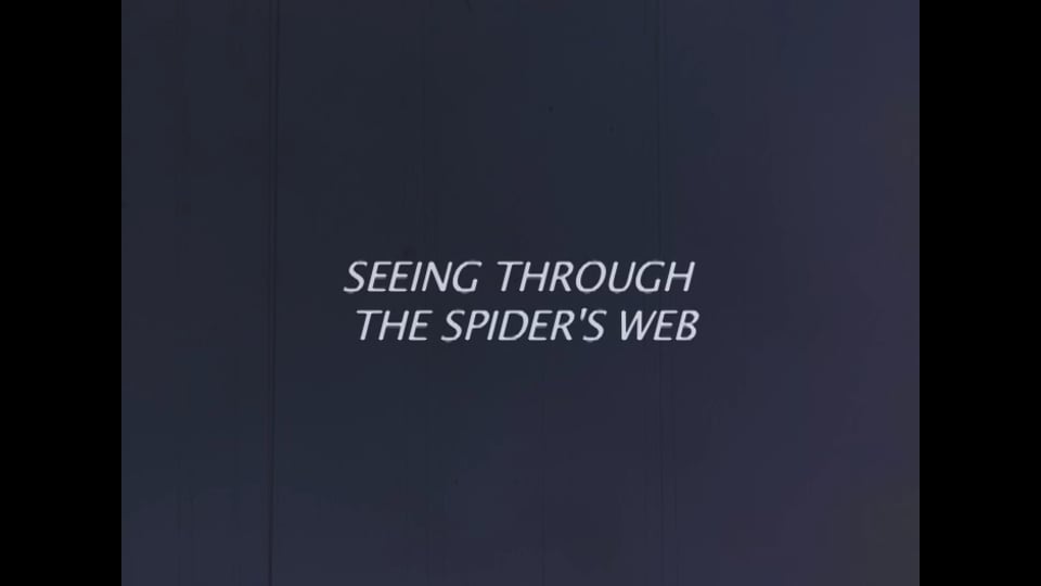 Seeing Through the Spider’s Web