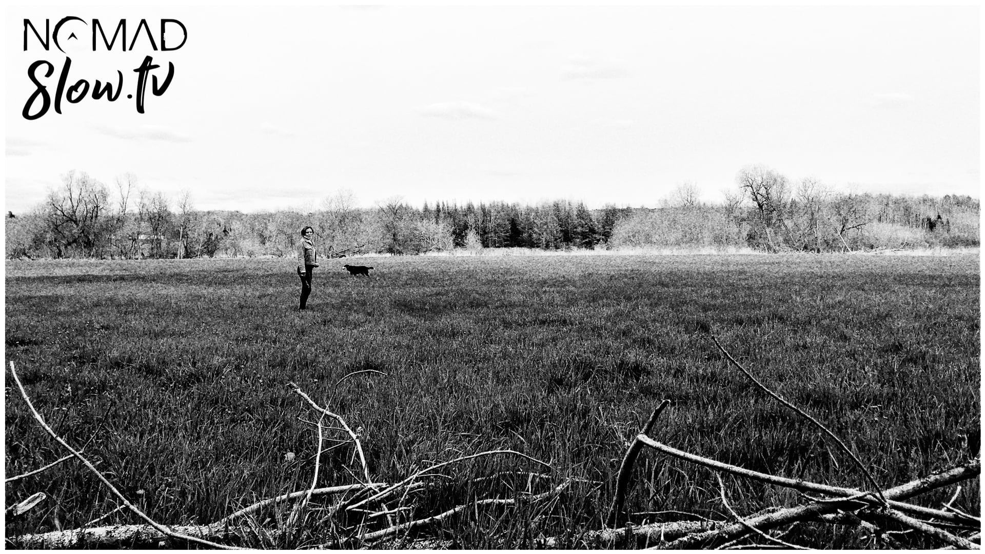 Invincible Summer - B&W field - Bicycle Reunited - Kevin MacLeod