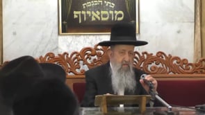 שנת השמיטה והלכות השייכות בה  פרטי דינים עציצים ועדניות אלול תשפא