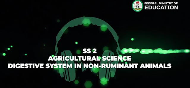 Digestive System of Non-Ruminant Animals: Anatomy and Physiology of Farm  Animals | SS2 Agriculture Science