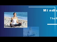 1 - Introduction To Mindful Meditation