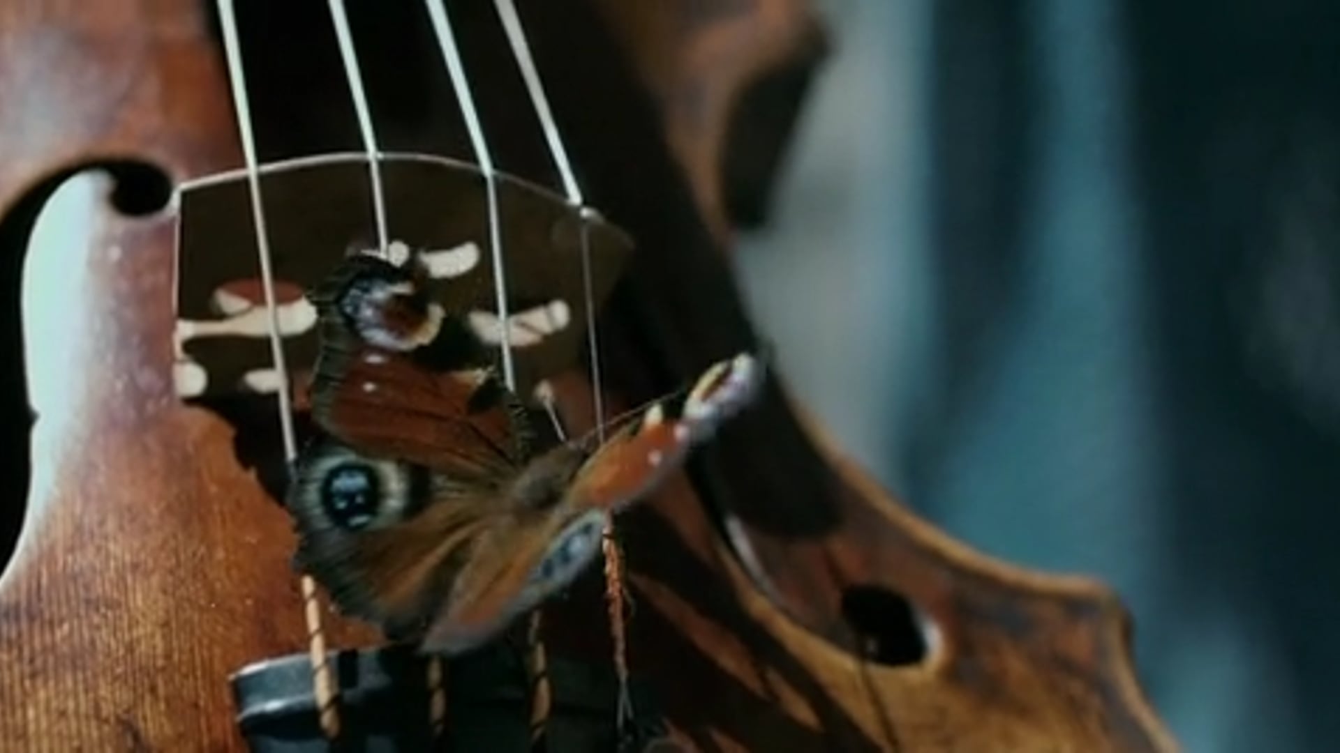 Death And The Maiden - Teaser