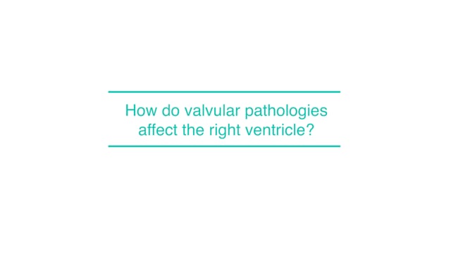 How do valvular pathologies affect the right ventricle?