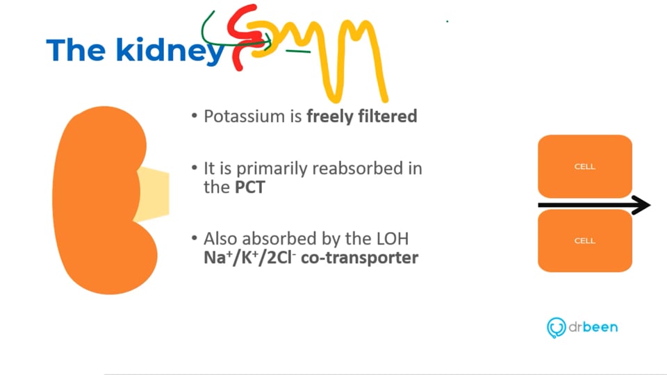 Acute Hyperkalemia with Faraaz Bhatti