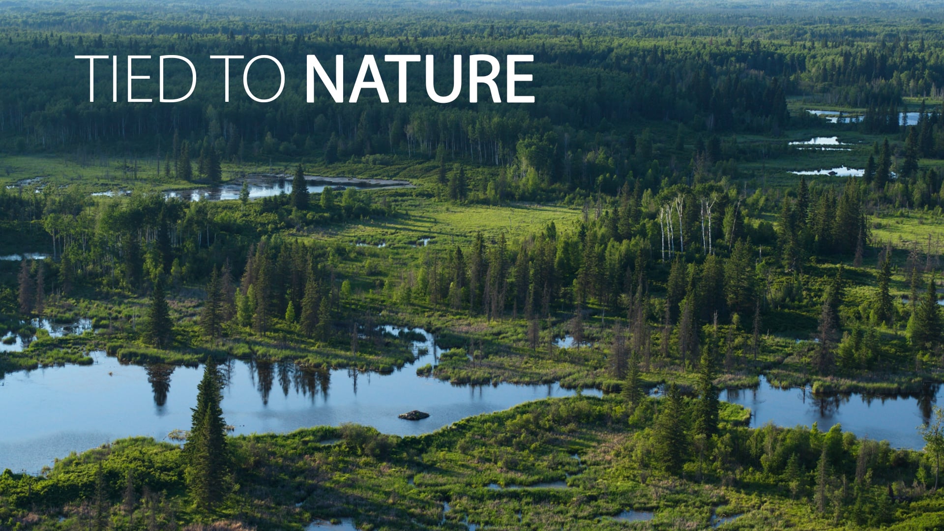 Tied To Nature