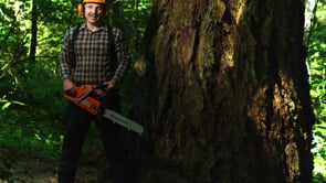Related Embedded Video Item Thumbnail