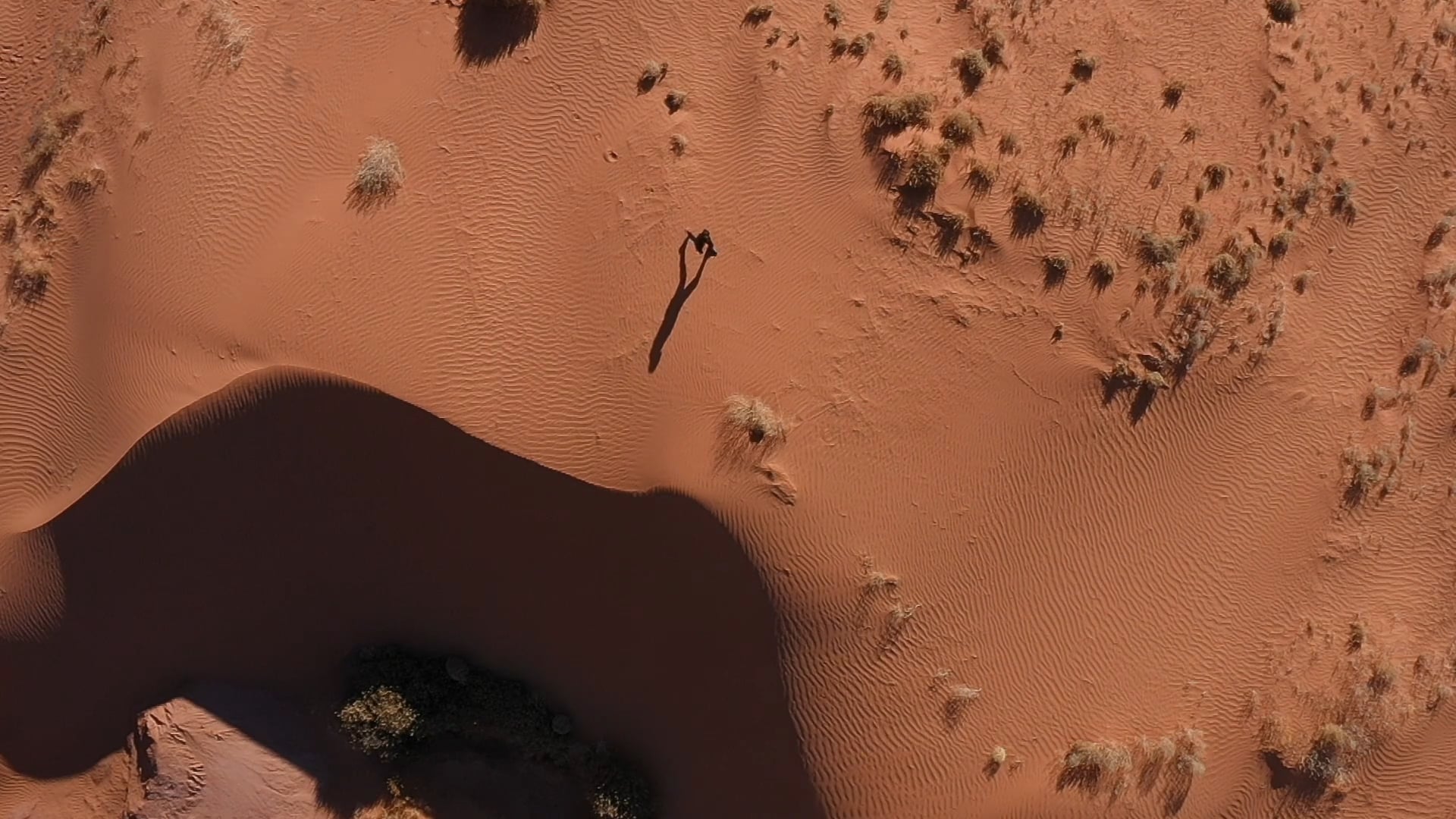 2020 US Census - According to Us