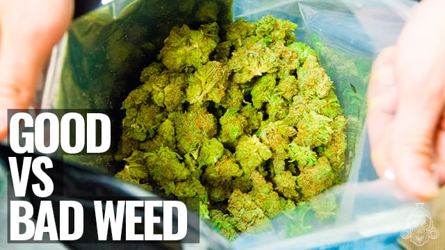 Good VS Bad Weed | How To Tell The Difference on Vimeo