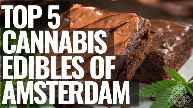 Amsterdams 10 Beste Coffeeshops Für Cannabis Esswaren Zamnesia 