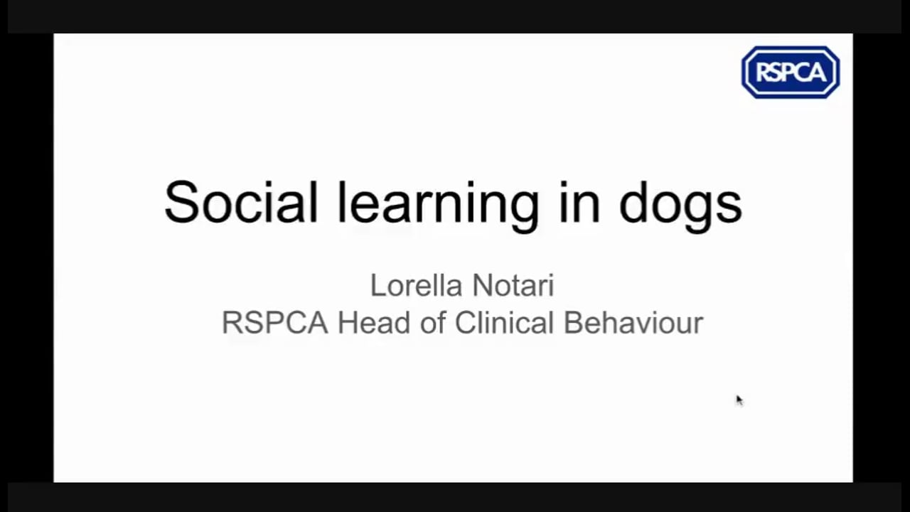 Social Learning in Dogs part 1 of 2