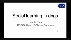 Social Learning in Dogs part 1 of 2 - RSPCA Staff Contributors