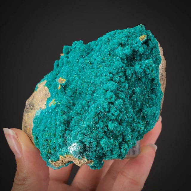 Dioptase (important, classic USA locale!) ex Reynolds Coll.