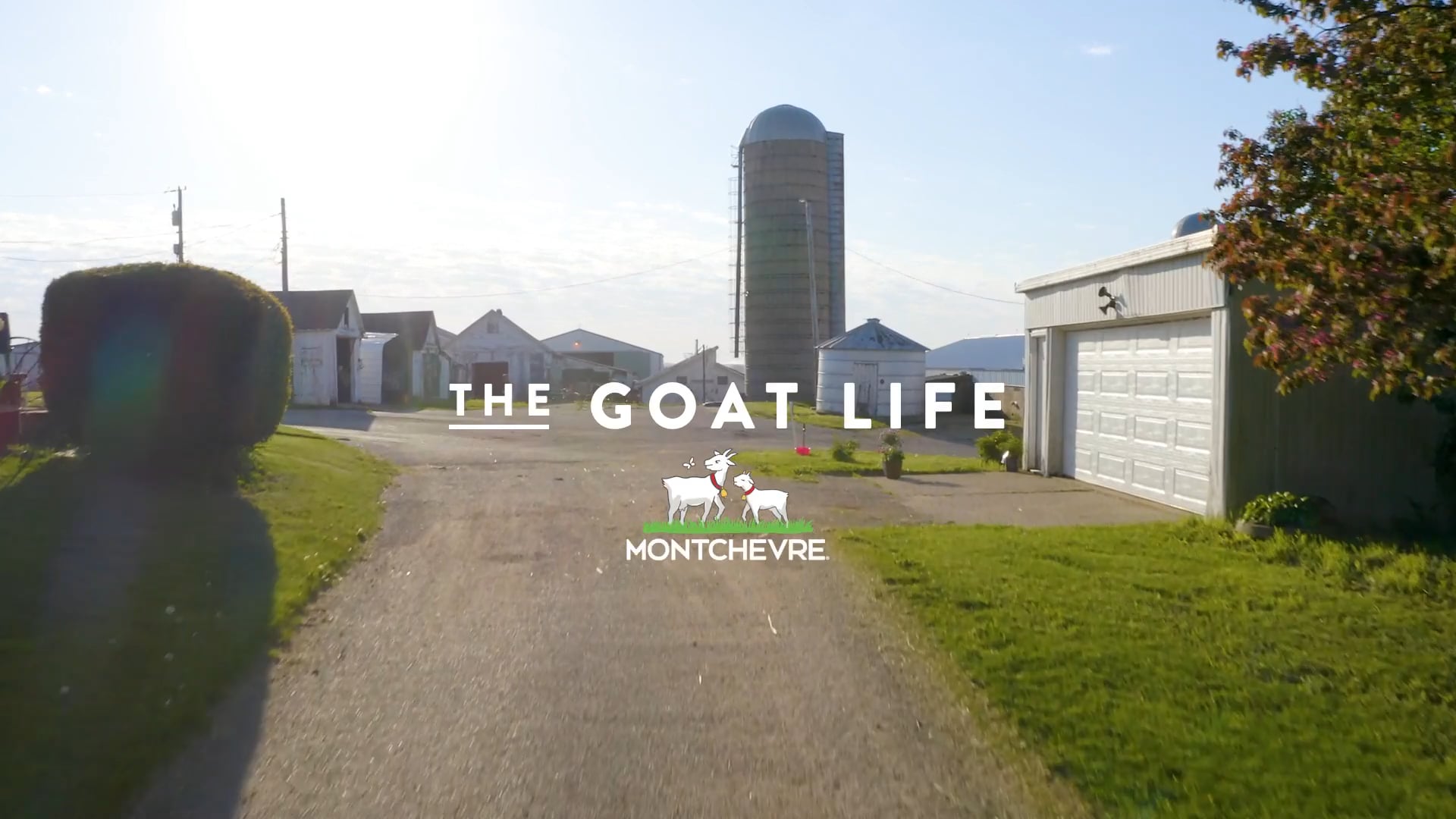 Saputo_Montchevre Brand Video