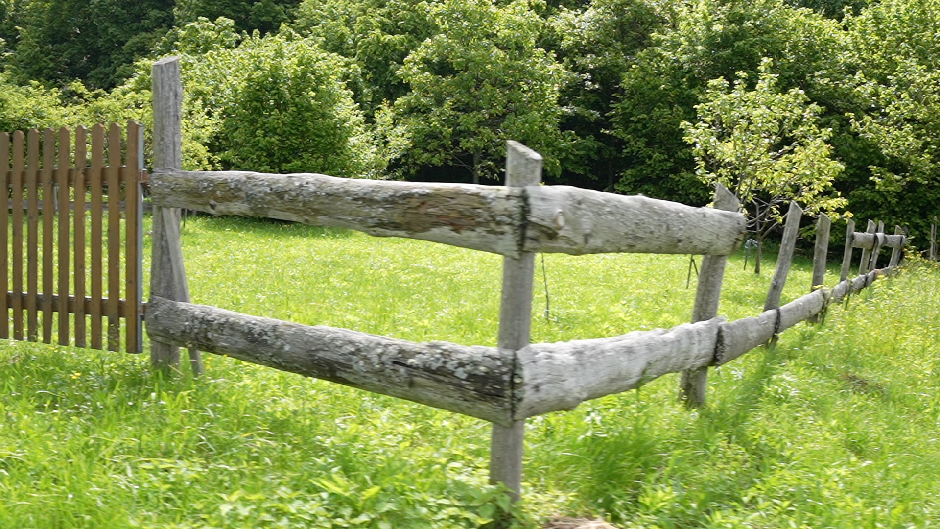 Driving near little village window view in slow motion