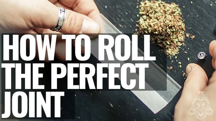 A Guide To Rolling The Perfect Blunt - Zamnesia Blog