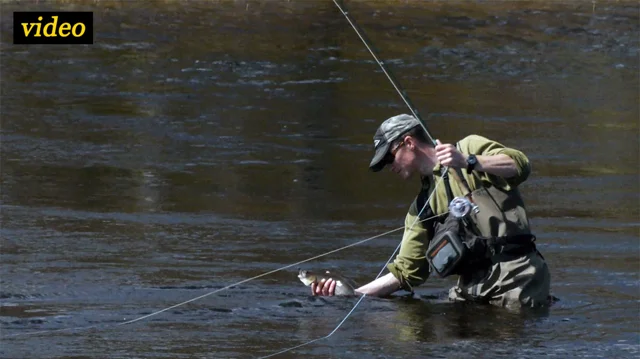 Streamer fishing for grayling in Norway