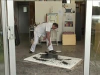 Het Thuisland van Harrie Gerritz.