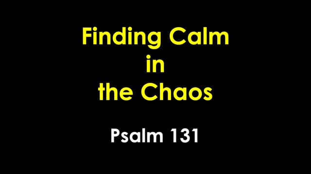 Finding Calm in the Chaos