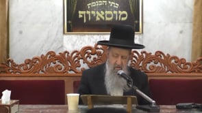 איסור ספיחין בשביעית אלול תשפא