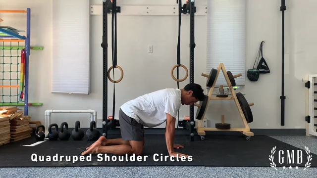 shoulder circles