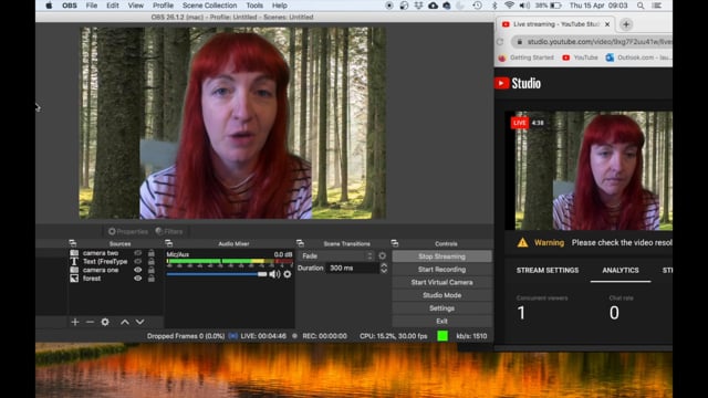 Live Streaming Workshop in Open Broadcast Software (OBS) with Laura O'Connor