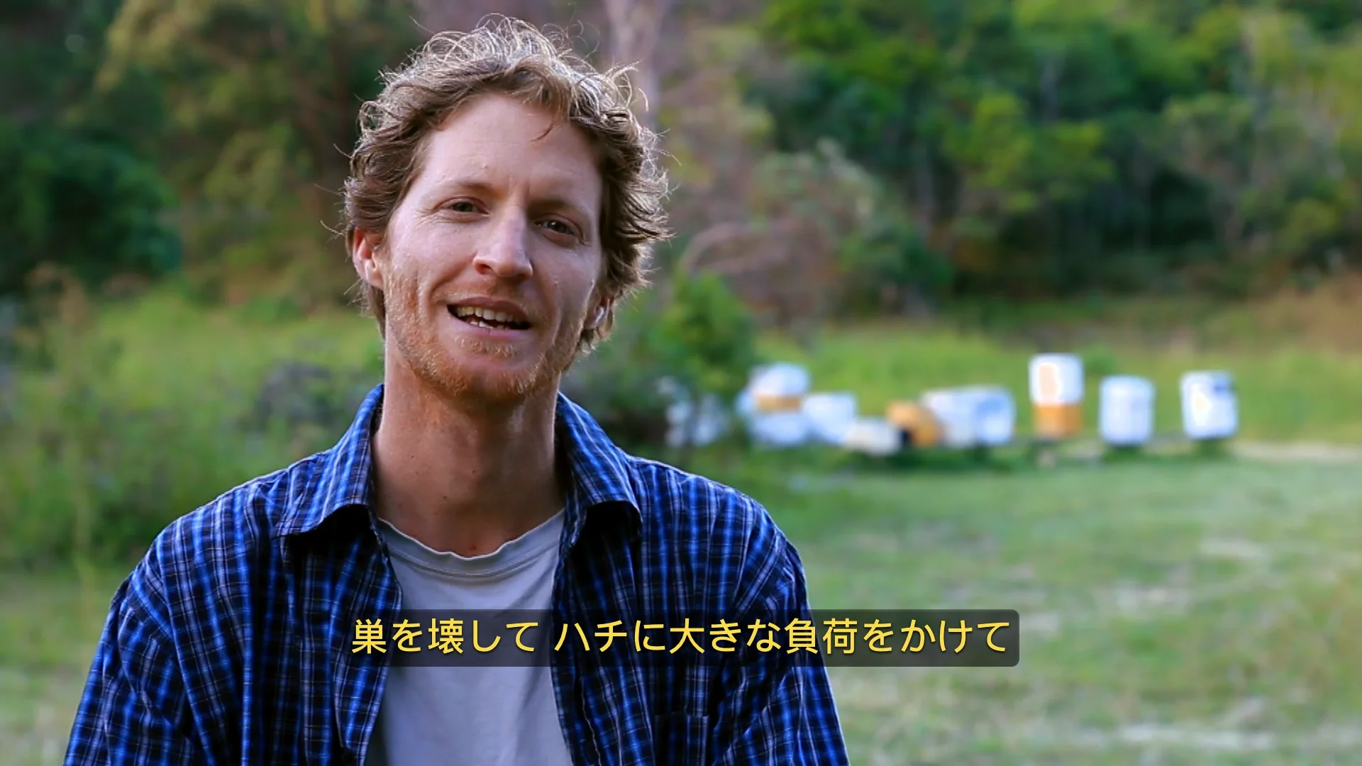 Flow Frames | Japanese Half-Size Flow Frames - Flow Hive US