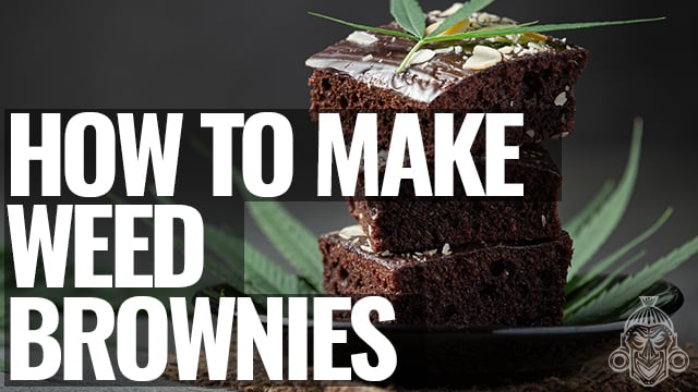 Top 10 De Recetas De Cannabis - Zamnesia Blog