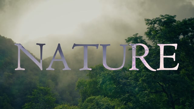 Adrienne Teicher on Vimeo