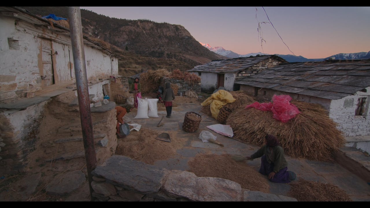 Spirit, a video by Jane Dyson
