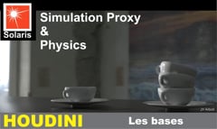 10  Physics & Simulation Proxy