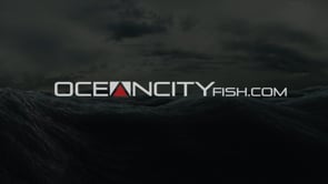 White Marlin Open Clips Part 1 — Ocean City, Maryland