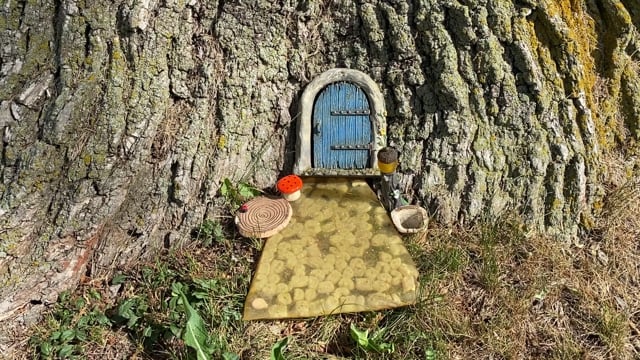 Door, Fairy Door, Tree. Free Stock Video - Pixabay