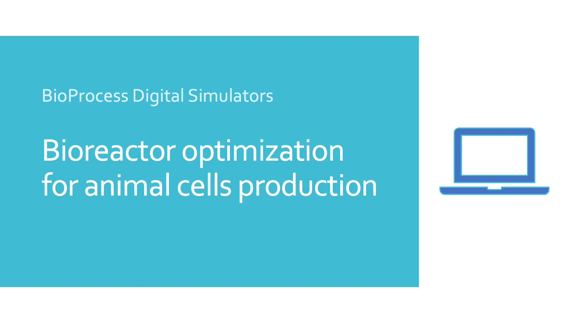 Simulator 'Bioreactor optimization for animal cells production'