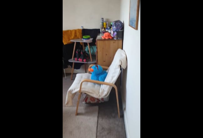 Double room in friendly flat in Raynes Park/Morden Main Photo