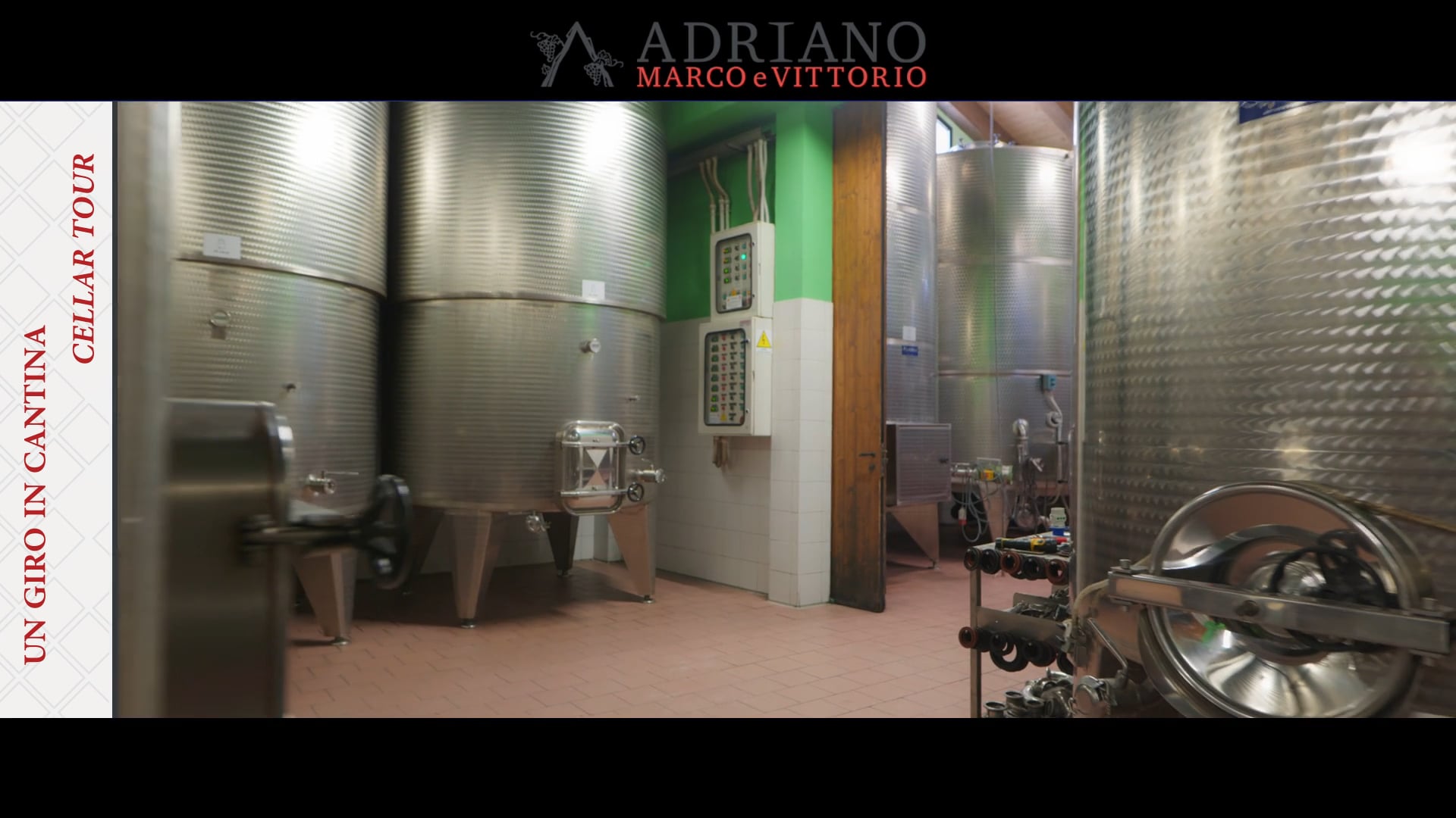Un tour virtuale della nostra cantina. Il nostro mondo, i nostri vini