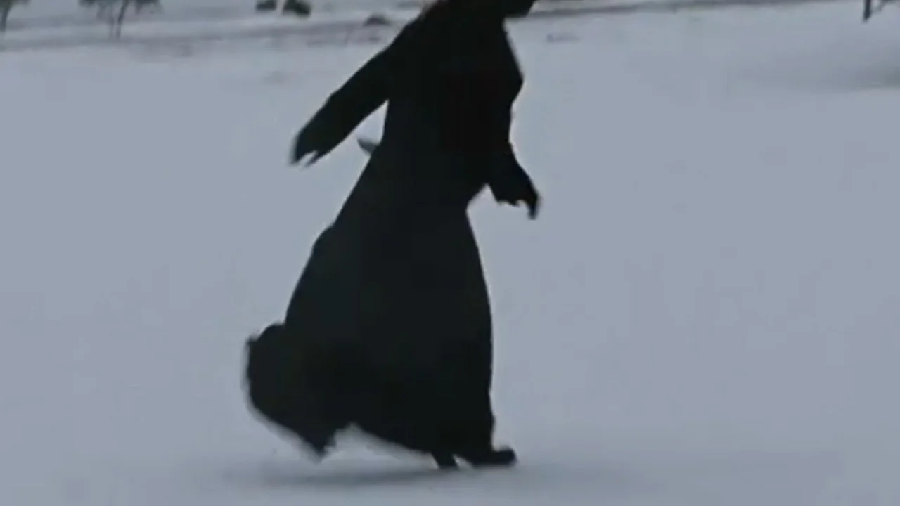 Follow rivers. Marika hackman i follow rivers lykke li. Li follow rivers. I follow rivers lykke li обложка. Lykke li i follow rivers клип.