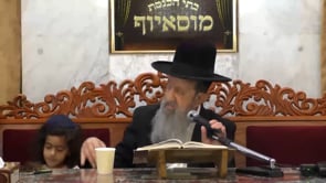 פרשת כי תצא הילולת הבן איש חי אלול תשפא