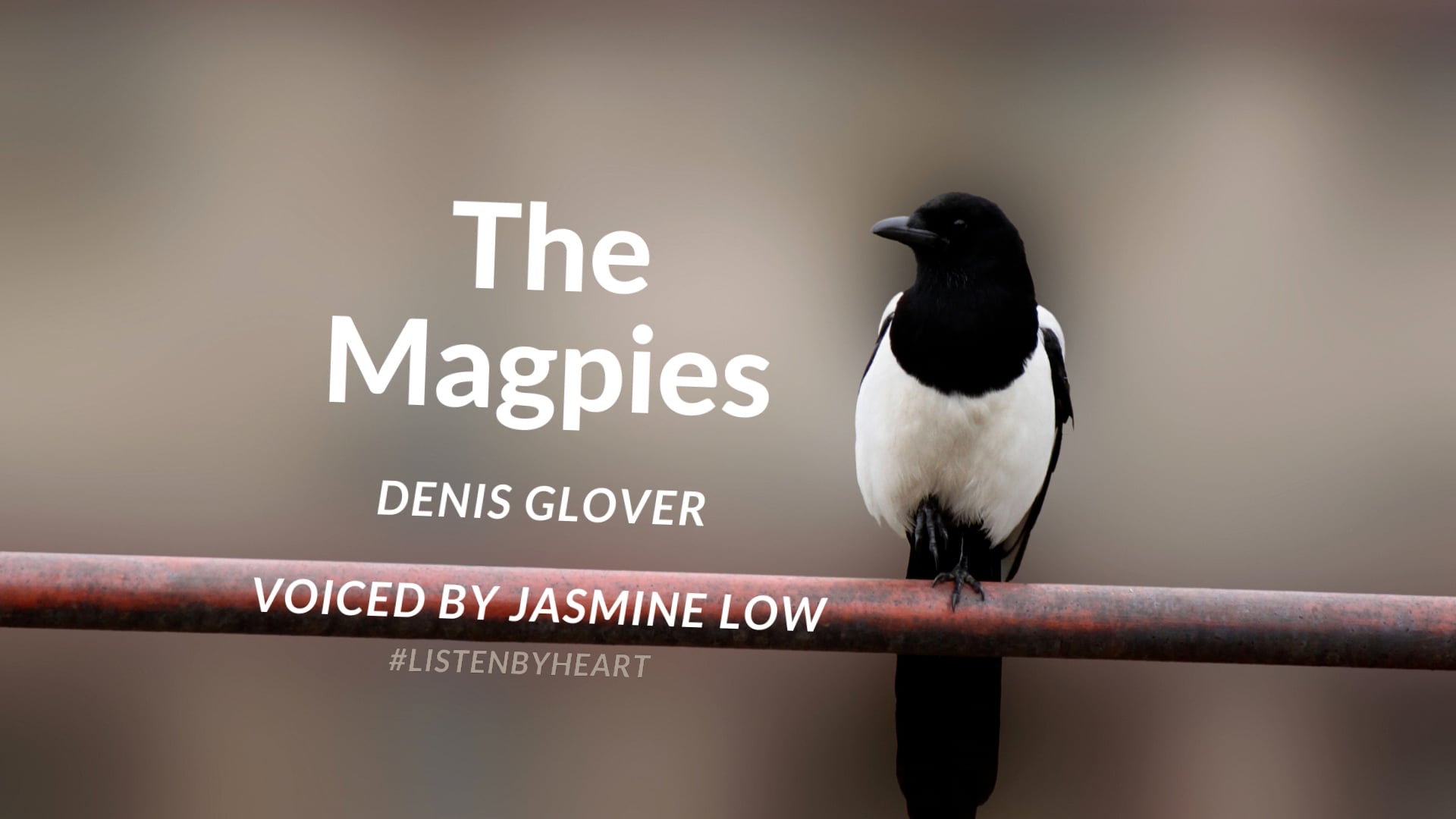 The Magpies by Denis Glover, Voiced by Jasmine Low #ListenbyHeart