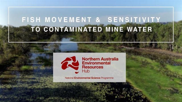 Fish movement and sensitivity to contaminated mine water (impact video)