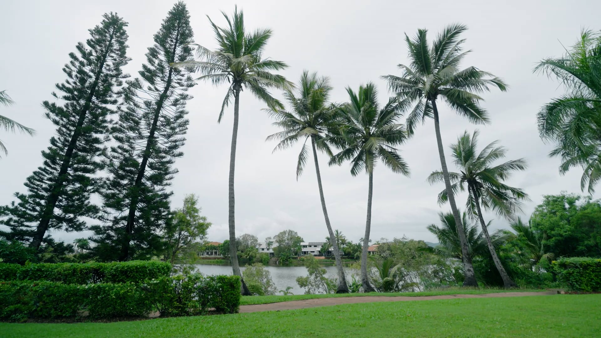 Over The Black Dot - Latrell Mitchell
